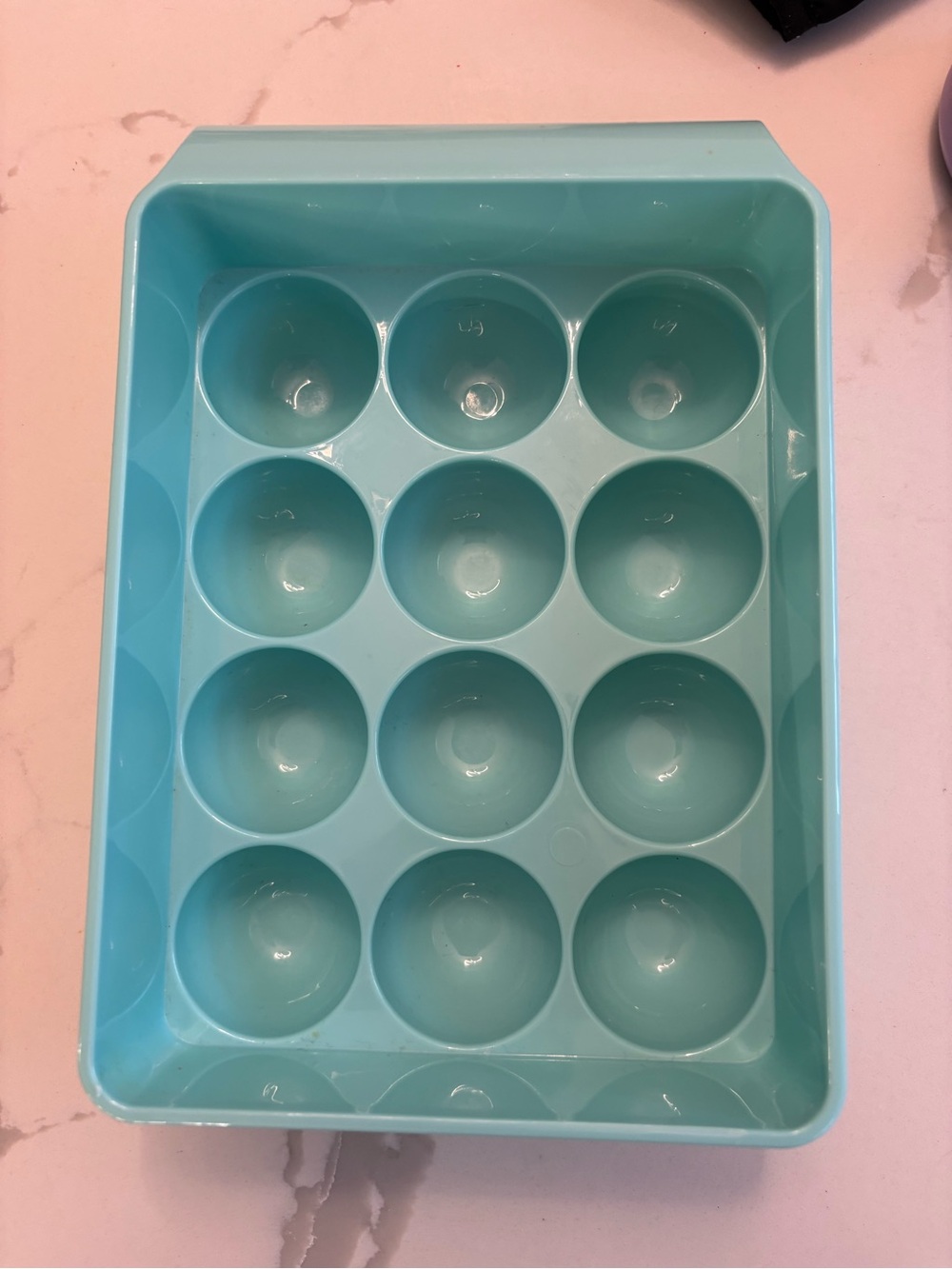 Egg Container